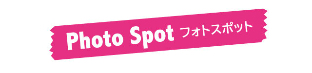 Photo Spot