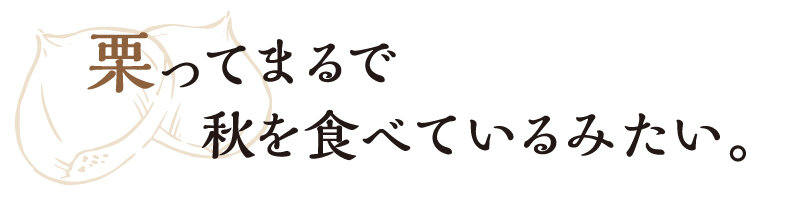 栗子簡直就像在吃秋天一樣。