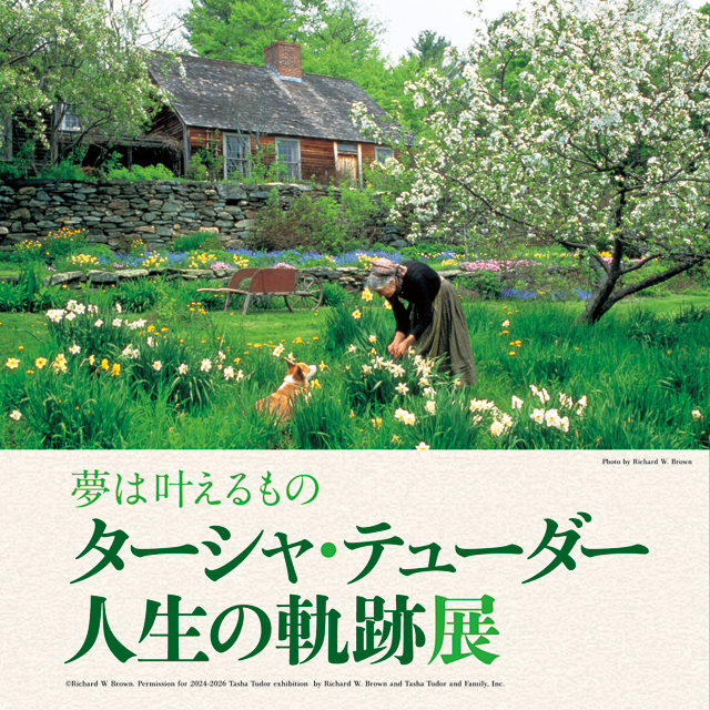 夢想是能實現的泰莎·泰德人生的軌跡展