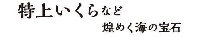 特上多少錢等閃閃發光的海洋寶石