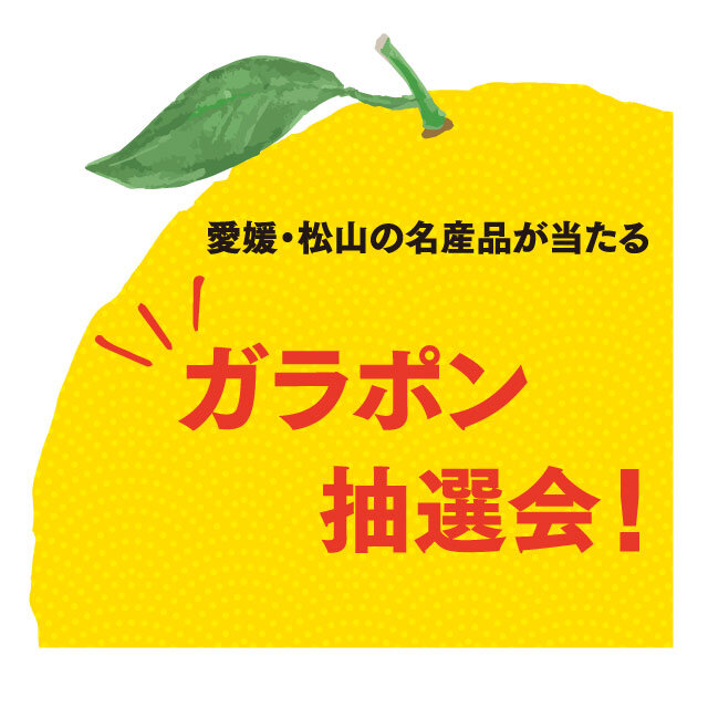愛媛松山的名特產Galapon抽簽儀式!
